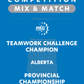 VEX IQ - Teamwork Challenge Champion