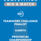 VEX IQ - Teamwork Challenge Finalist