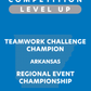 VEX IQ - Teamwork Challenge Champion