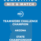 VEX IQ - Teamwork Challenge Champion