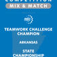 VEX IQ - Teamwork Challenge Champion