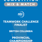 VEX IQ - Teamwork Challenge Finalist