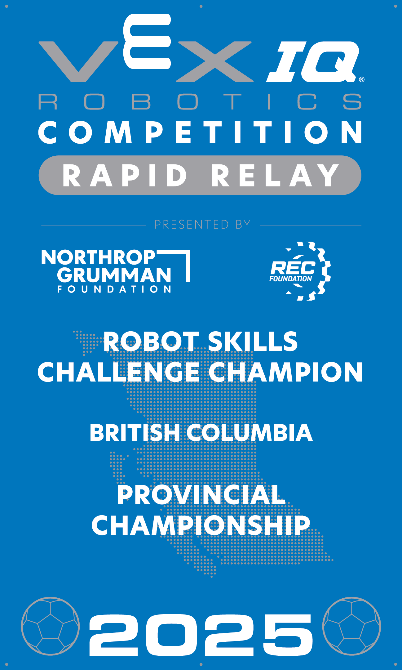 VIQC Robot Skills Challenge Champion