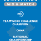 VEX IQ - Teamwork Challenge Champion