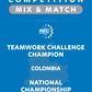 VEX IQ - Teamwork Challenge Champion