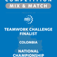 VEX IQ - Teamwork Challenge Finalist