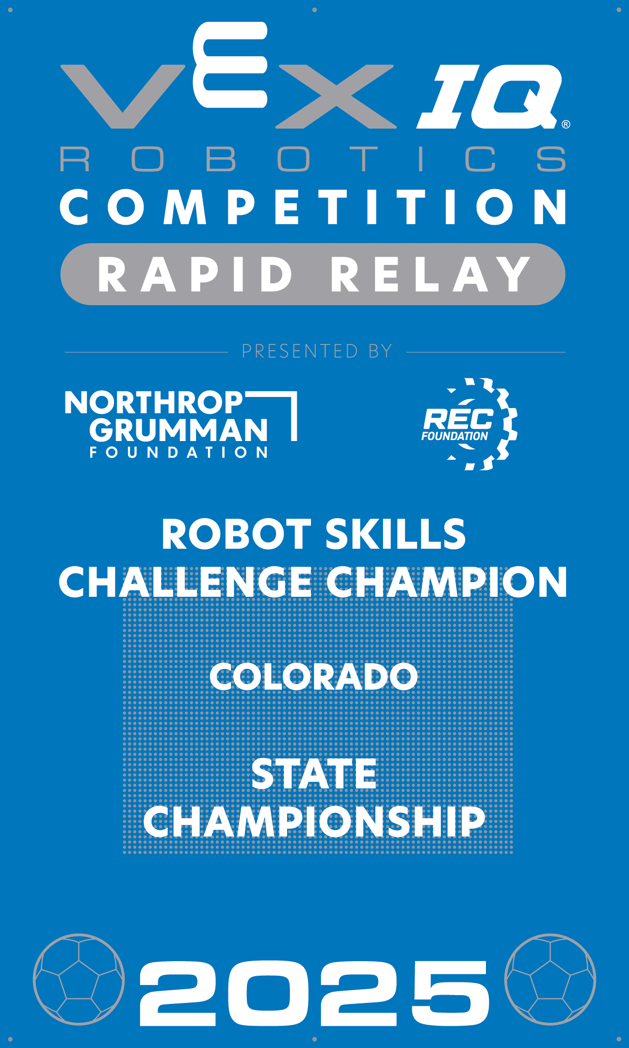 VIQC Robot Skills Challenge Champion