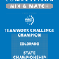 VEX IQ - Teamwork Challenge Champion