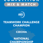 VEX IQ - Teamwork Challenge Champion