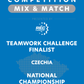 VEX IQ - Teamwork Challenge Finalist