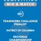 VEX IQ - Teamwork Challenge Finalist