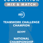 VEX IQ - Teamwork Challenge Champion