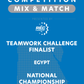 VEX IQ - Teamwork Challenge Finalist