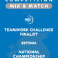 VEX IQ - Teamwork Challenge Finalist