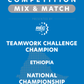 VEX IQ - Teamwork Challenge Champion
