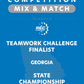 VEX IQ - Teamwork Challenge Finalist