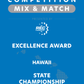 VEX IQ - Excellence Award