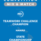 VEX IQ - Teamwork Challenge Champion