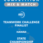 VEX IQ - Teamwork Challenge Finalist