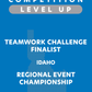 VEX IQ - Teamwork Challenge Finalist