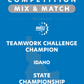 VEX IQ - Teamwork Challenge Champion