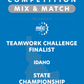 VEX IQ - Teamwork Challenge Finalist
