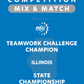 VEX IQ - Teamwork Challenge Champion