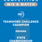 VEX IQ - Teamwork Challenge Champion