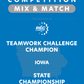 VEX IQ - Teamwork Challenge Champion