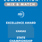 VEX IQ - Excellence Award