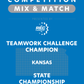 VEX IQ - Teamwork Challenge Champion