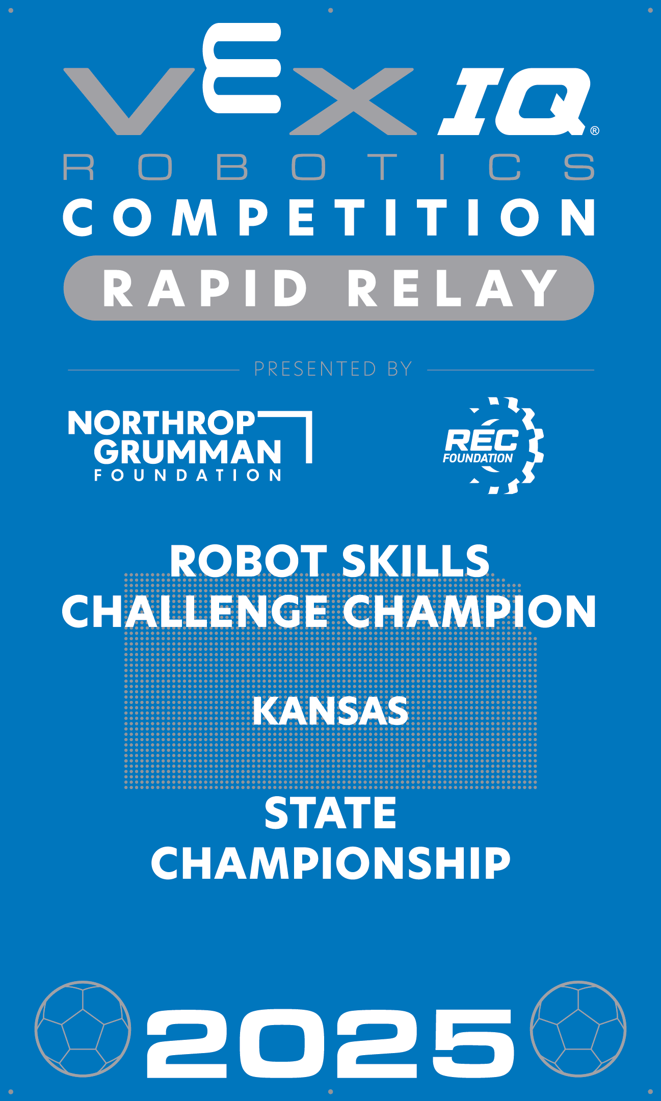 VIQC Robot Skills Challenge Champion