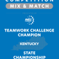 VEX IQ - Teamwork Challenge Champion