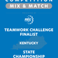 VEX IQ - Teamwork Challenge Finalist