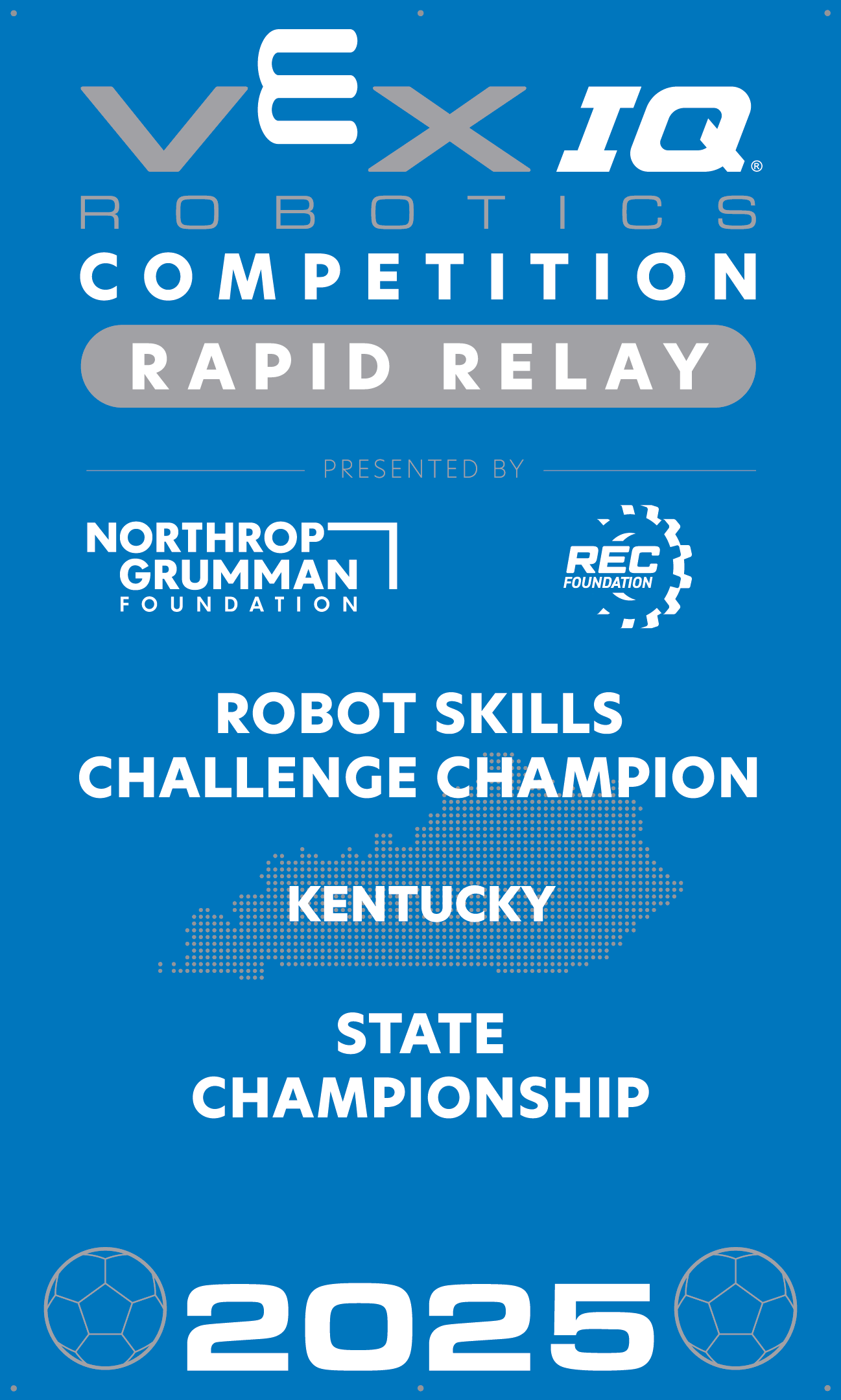 VIQC Robot Skills Challenge Champion