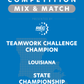 VEX IQ - Teamwork Challenge Champion