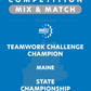 VEX IQ - Teamwork Challenge Champion