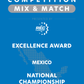VEX IQ - Excellence Award