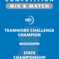 VEX IQ - Teamwork Challenge Champion