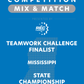 VEX IQ - Teamwork Challenge Finalist