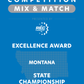 VEX IQ - Excellence Award