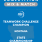 VEX IQ - Teamwork Challenge Champion