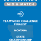 VEX IQ - Teamwork Challenge Finalist