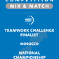 VEX IQ - Teamwork Challenge Finalist