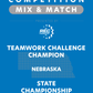 VEX IQ - Teamwork Challenge Champion