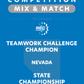 VEX IQ - Teamwork Challenge Champion