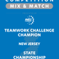 VEX IQ - Teamwork Challenge Champion