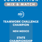 VEX IQ - Teamwork Challenge Champion