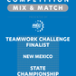 VEX IQ - Teamwork Challenge Finalist