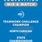 VEX IQ - Teamwork Challenge Champion